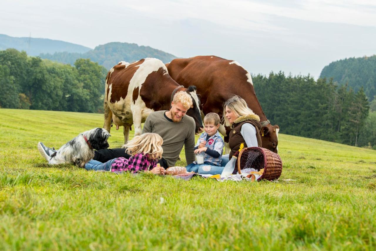 Westfalenhof Garni Willingen (Upland) Exterior foto