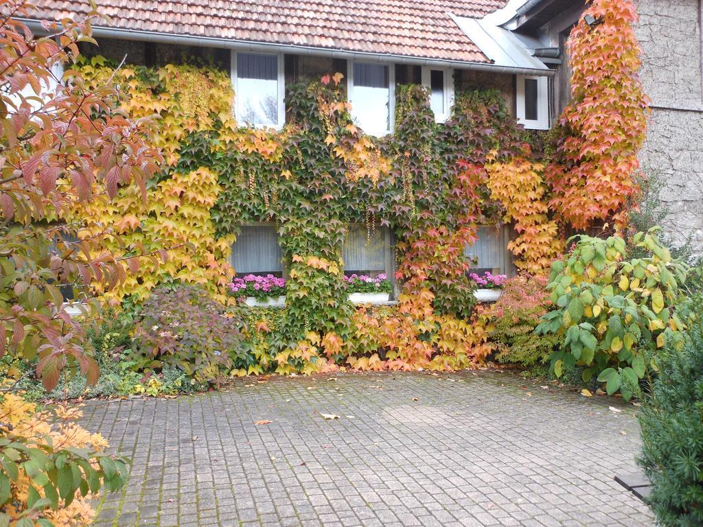 Westfalenhof Garni Willingen (Upland) Exterior foto