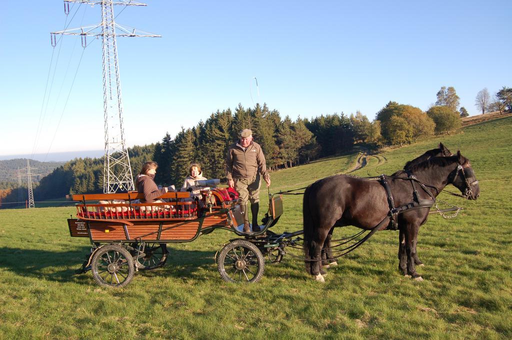 Westfalenhof Garni Willingen (Upland) Exterior foto